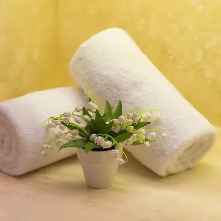 Coresh Suites Otel
